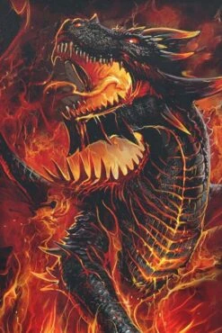 "Draconis" Long-sleeve Shirt Black By Spiral 7 "Draconis" Long-sleeve Shirt Black By Spiral -Men Fashion Clothing Store 452453d