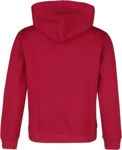 "Gryffindor" Hooded Sweater Multicolour By Harry Potter -Men Fashion Clothing Store 536859b