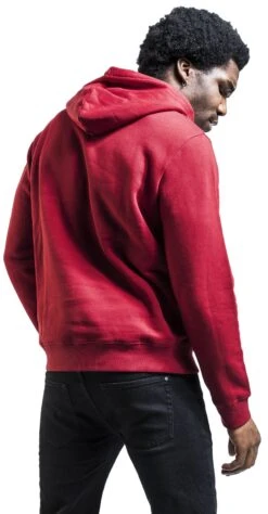 "Gryffindor" Hooded Sweater Multicolour By Harry Potter -Men Fashion Clothing Store 536859wb